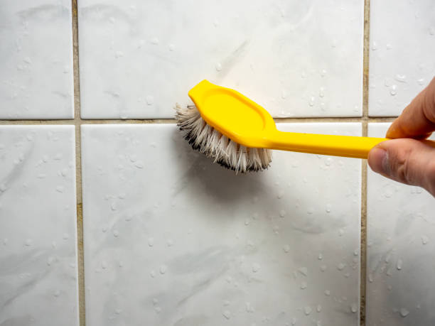 Best Residential Mold Remediation in Wilsons Mills, NC